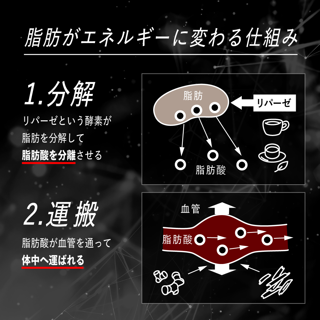レッドギア 180粒 | プロテイン・サプリ（クレアチン、EAA）ならVALX